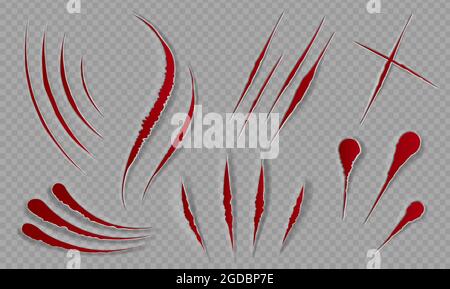 Graffi e tagli di sangue. Cicatrici sanguinose e taglienti. Ferite lacerate da zampe animali. Halloween decorazione spaventosa. Le artigli Cat cinge il set vettoriale Illustrazione Vettoriale