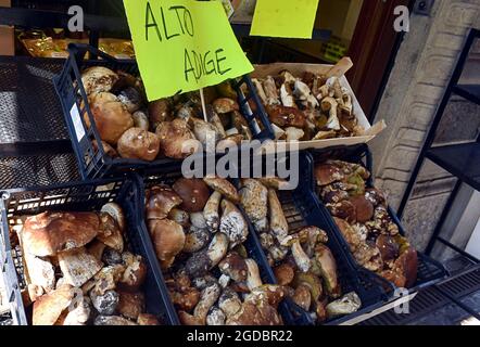 Scopri i funghi selvatici secchi nel centro storico di Bergamo, la Città alta. Ingredienti naturali gourmet per una raffinata cucina italiana. Foto Stock