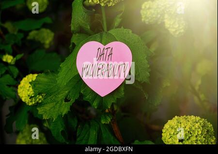 Vulnerabilità concettuale dei dati di visualizzazione. Approccio aziendale debolezza di un dato che può essere sfruttato da un pirata informatico Heart Shaped Paper on Top of Outdoor Foto Stock