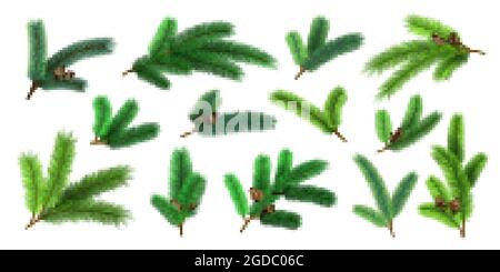 Rami realistici dell'albero di natale e ramoscelli di abete con pinecone. Evergreen xmas pine decorazione ghirlande. set di aghi vettoriali per pini forestali 3d Illustrazione Vettoriale