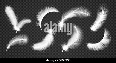 Calate bianche realistiche e piume d'uccello pelose. 3d decorativo morbido angelo flying piuma, anatra quill per cuscini. Set di vettori di pennarchio Illustrazione Vettoriale