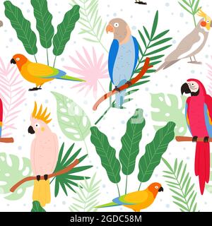 Colorati pappagalli esotici cartoon e foglie tropicali motivo senza giunture. Cockatoo, macaw, colombiano paradiso uccello. Stampa vettoriale pappagallo selvatico piatta Illustrazione Vettoriale