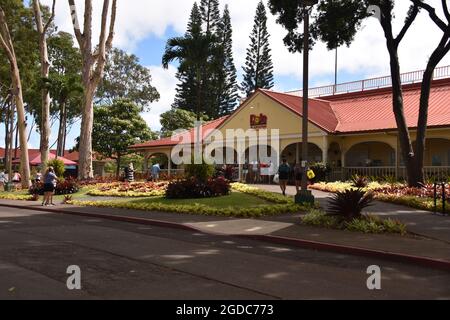 Oahu HI U.S.A. 6/3&6/2021. Piantagione Dole. Giardini. Treno espresso di ananas. Labirinto. Negozio di articoli da regalo. Saporito swirl ananas. Conforme ai requisiti ADA Foto Stock