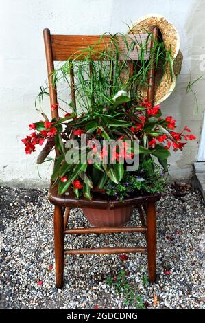 Vaso di fiori accoccolato nella sede di una sedia in legno, antica. Fiori e piante traboccano e un cappello di paglia pende dall'angolo. Foto Stock