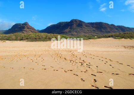 Le impronte dei piedi conducono ogni direzione mentre più visitatori hanno goduto la vista al Polihale state Park sull'isola di Kauai, Hawaii. Foto Stock