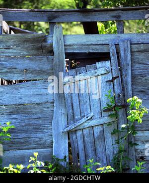 Immagine di sfondo del vecchio capannone e della porta che è marcio, abbandonato e derelitto. Le schede sono incrinate e rotte. Foto Stock