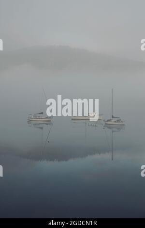 Barche a vela ormeggiate sull'estuario dell'Huon nella nebbia mattutina in Tasmania con immagini speculari in acqua Foto Stock