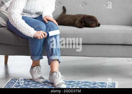 Giovane donna con cane carino che pulisce i suoi jeans a casa Foto Stock