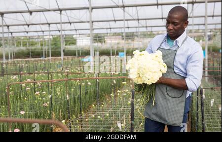 Ritratto dell'uomo afroamericano con fiori di garofano appena tagliati Foto Stock