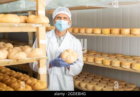 Cheesemaker in maschera che controlla il processo di maturazione delle ruote di formaggio Foto Stock