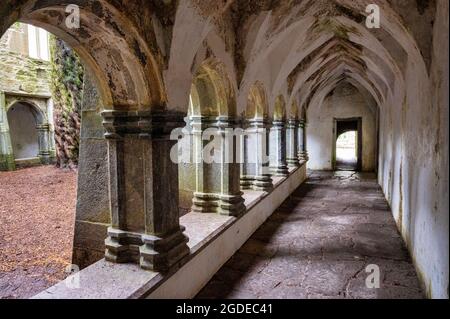 Killarney, Irlanda - 10 luglio 2021: Muckross Abbey Cloister a Killarney. Foto Stock