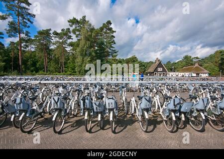 Parcheggio per biciclette all'ingresso del Parco Nazionale De Hoge Veluwe, Paesi Bassi Foto Stock