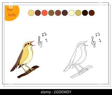 libro da colorare per i bambini, uccello nightingale, vettore isolato su sfondo bianco. Illustrazione Vettoriale