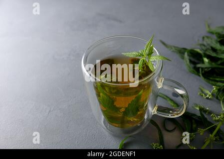 Tazza di cannabis a base di erbe calde o tè alla canapa in tazza di vetro Foto Stock