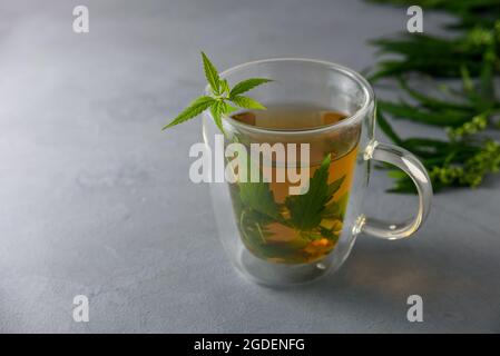 Tazza di cannabis a base di erbe calde o tè alla canapa in tazza di vetro Foto Stock