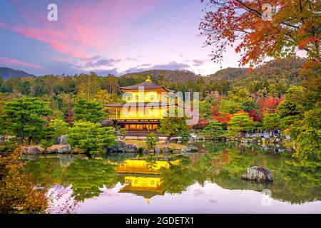 Vista autunnale del Padiglione d'Oro del tempio Kinkaku-ji a Kyoto, Giappone al tramonto Foto Stock