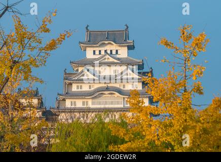 Vista del Castello di Himeji (stagione autunnale) in Giappone Himeji Foto Stock