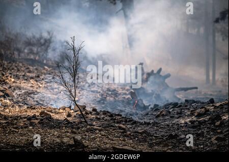 I campi da fumo dopo un massiccio incendio boschivo al Parco Nazionale Aspromonte in Calabria.i falò selvatici devastano le foreste del Parco Nazionale Aspromonte in Calabria da più di una settimana. Per la protezione della zona e degli alberi, il parco è stato recentemente incluso nella lista del patrimonio naturale dell'UNESCO, un'unità mobile della protezione civile lombarda è stata dispiegata nella zona di San Luca, dal 10 agosto, per aiutare la Calabria Verde (agenzia ambientale regionale) e altre forze per combattere gli incendi. (Foto di Valeria Ferraro/SOPA Images/Sipa USA) Foto Stock