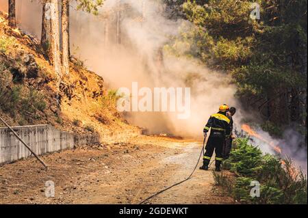 San Luca, Calabria, Italia. 10 agosto 2021. I membri della protezione civile ispezionano il fuoco.gli incendi boschivi stanno devastando le foreste del Parco Nazionale Aspromonte in Calabria da più di una settimana. Per la protezione della zona e degli alberi, il parco è stato recentemente incluso nella lista del patrimonio naturale dell'UNESCO, un'unità mobile della protezione civile lombarda è stata dispiegata nella zona di San Luca, dal 10 agosto, per aiutare la Calabria Verde (agenzia ambientale regionale) e altre forze per combattere gli incendi. (Credit Image: © Valeria Ferraro/SOPA Images via ZUMA Press Wire) Foto Stock