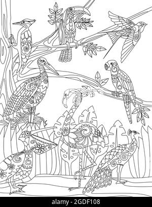 Diversi tipi di uccelli raccolti accanto A UN albero Parrot Peacock linea incolore disegno. Raccolta multipla di uccelli Flamingo Macaw Sparrow libro da colorare Illustrazione Vettoriale