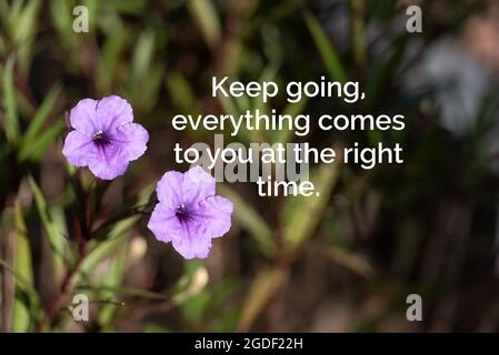 Preventivi motivazionali e motivazionali - continuate a seguire, tutto viene a voi al momento giusto. Foto Stock