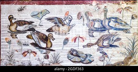 Ancora vita emblema Mosaico in opus vermiculatum fatto da tessere policrome che mostra anatre, uccelli, pesci e molluschi Pompei, Casa del Fauno - fine II - inizio i secolo a.C. Foto Stock