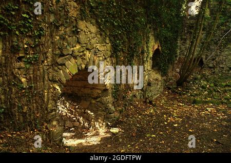 Antiche rovine storiche del castello di Scharfeneck con finestra in pietra e luce solare. All'interno di una rovina storica. Un castello abbandonato infestato in profondità nella foresta. Foto Stock