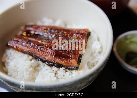 Unagi don , anguilla alla griglia con riso, cibo giapponese Foto Stock