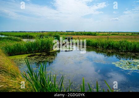 Panorama polder paesaggio con uno stagno e uno stramazzo Foto Stock