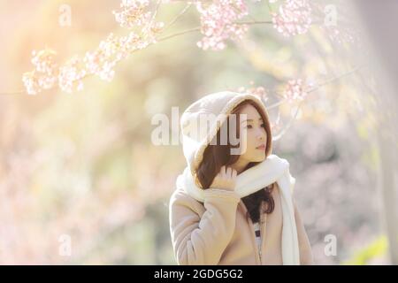 Asian Donna con ciliegia fioritura natura sfondo Foto Stock