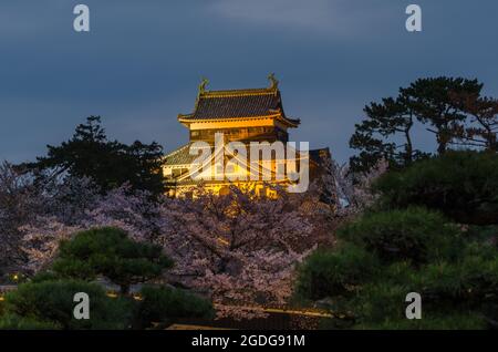 Castello di Matsue con lignette da giardino accese, in una serata nuvolosa Foto Stock