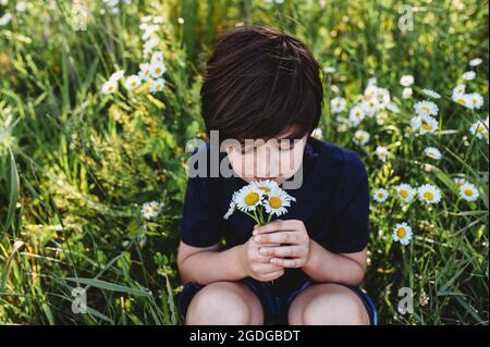 Giovane ragazzo che puzzava un bouquet di margherite in un campo di fiori. Foto Stock