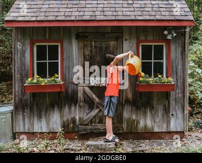 Ragazzo annaffiando fiori in finestre scatole di capannone con grande annaffiatura CAN. Foto Stock