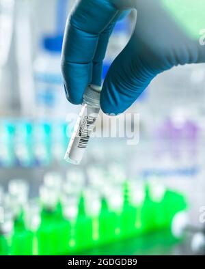 Scienziato che prepara campioni di DNA per l'analisi in laboratorio. Foto Stock