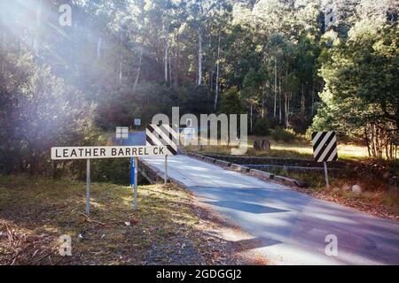 Canna di cuoio Creek vicino a Thredbo nel Nuovo Galles del Sud, Australia Foto Stock