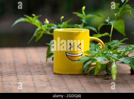 Giacarta, Indonesia-13 agosto 2021: Primo piano di vetro giallo con emoticon di smiley, concettuale Foto Stock