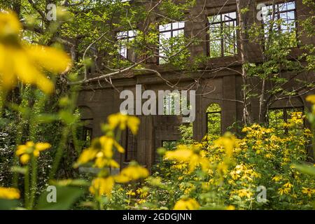 I resti scheletrici dell'hotel Catskills, la Overlook Mountain House, accoglie gli escursionisti che si avvicinano alla cima della Overlook Mountain, situata vicino a WO Foto Stock