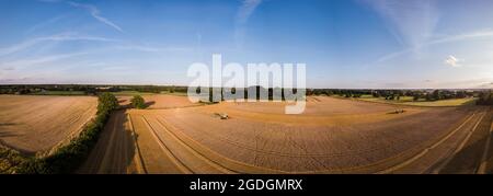 Panoramica aerea della campagna di Suffolk, una mietitrebbia sta tagliando e raccogliendo grano mentre un trattore e un rimorchio aspettano di raccogliere il gr Foto Stock