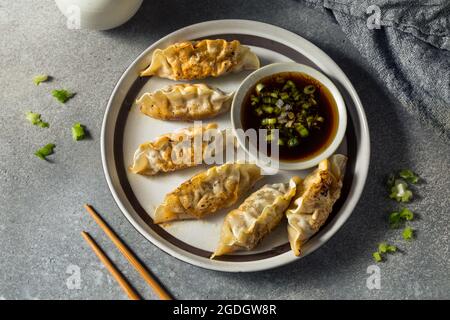 Potsticker di manzo coreano fatti in casa con salsa di immersione Foto Stock