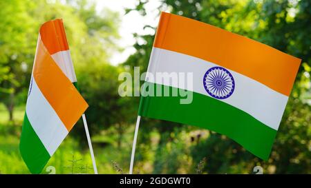 Due bandiere nazionali Tricolor indiane che tengono in mano. Giorno dell'indipendenza e giorno della Repubblica dell'India. Flying Indian Tiranga vista ravvicinata, 15 agosto. Foto Stock