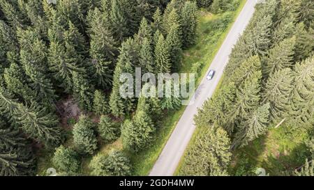 Strada con conifere auto dall'alto Foto Stock