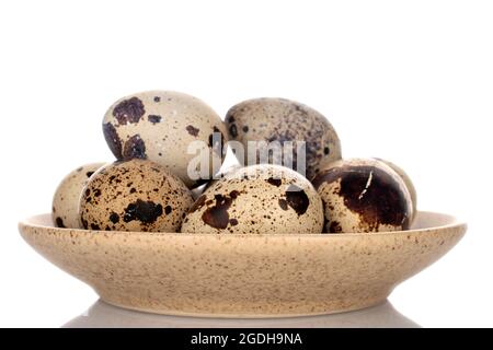 Diverse uova di quaglia fresche in una ciotola di ceramica, primo piano, isolate su bianco. Foto Stock