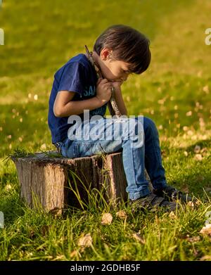 triste ragazzo ispanico seduto da solo su un tronco di albero che guarda giù e che tiene un ramo di un albero nella foresta in autunno. bullismo. verticale Foto Stock
