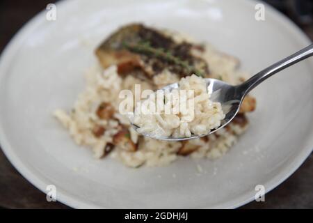 risotto con filetto di branzino su fondo di legno, cucina italiana Foto Stock