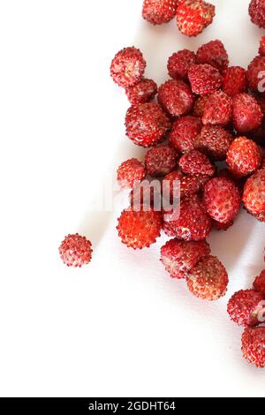 Piccola fragola selvaggia su sfondo bianco Foto Stock