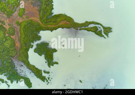 Vista aerea della costa irregolare coperta di muschio verde vicino alle acque turchesi del lago nuvoloso in Islanda Foto Stock