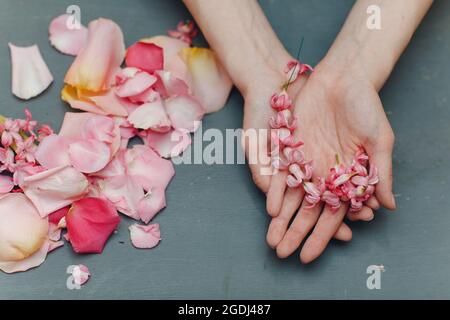 Petali rosa di fiori di giacinto nelle mani della donna. Foto Stock