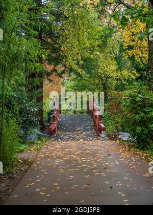 Un ponte in un giardino giapponese durante la stagione autunnale. Giardino con laghetto in stile asiatico sull'isola di Versailles a Nantes, Francia Foto Stock