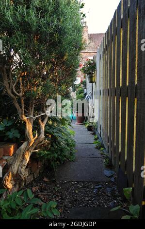 Vista ad angolo basso di un vialetto nel giardino con recinzione in legno in una prospettiva nitida Foto Stock