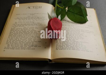 Red Rose e un libro Shakespeare aperto. Foto Stock